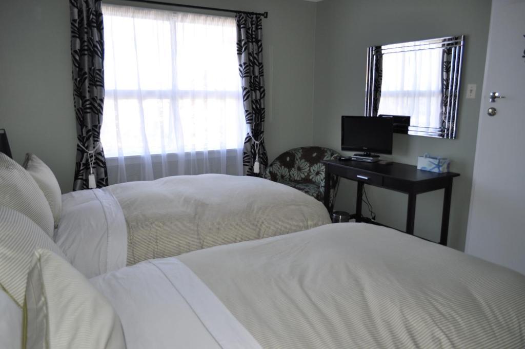 16 Havelock Bed and Breakfast Νιου Πλύμουθ Δωμάτιο φωτογραφία