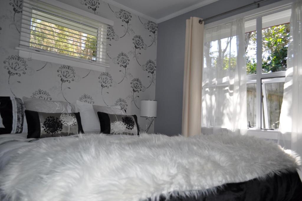 16 Havelock Bed and Breakfast Νιου Πλύμουθ Δωμάτιο φωτογραφία