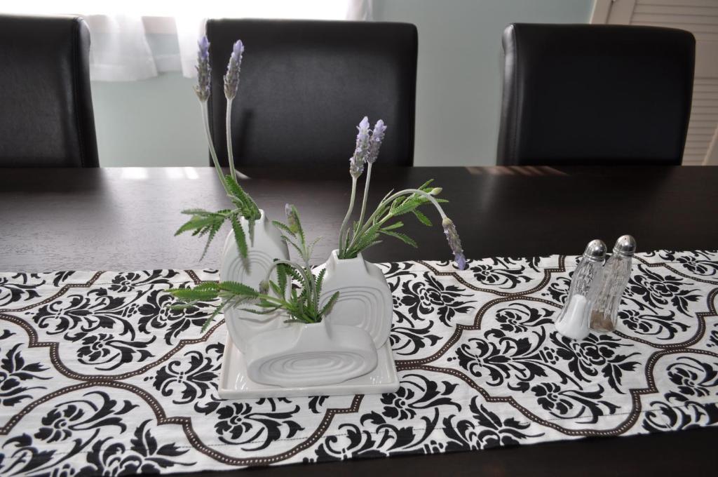 16 Havelock Bed and Breakfast Νιου Πλύμουθ Εξωτερικό φωτογραφία