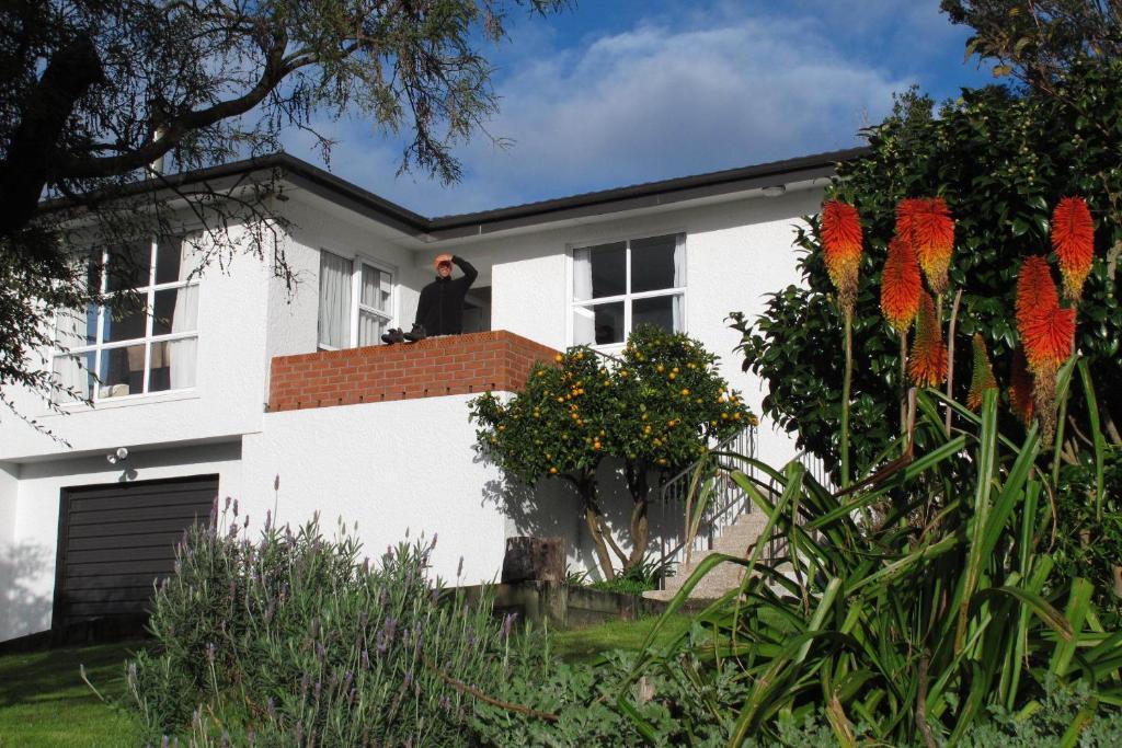 16 Havelock Bed and Breakfast Νιου Πλύμουθ Εξωτερικό φωτογραφία