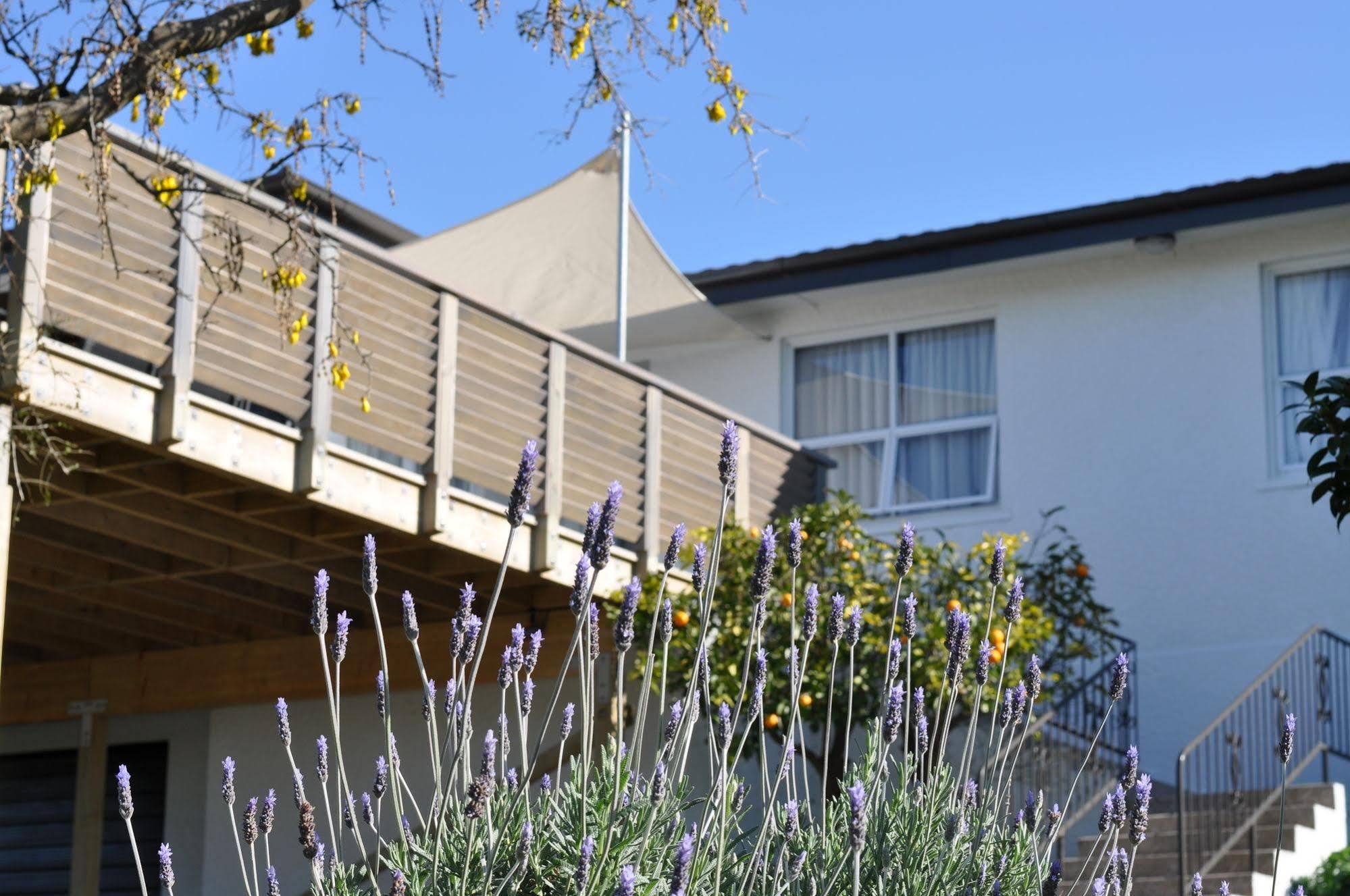 16 Havelock Bed and Breakfast Νιου Πλύμουθ Εξωτερικό φωτογραφία